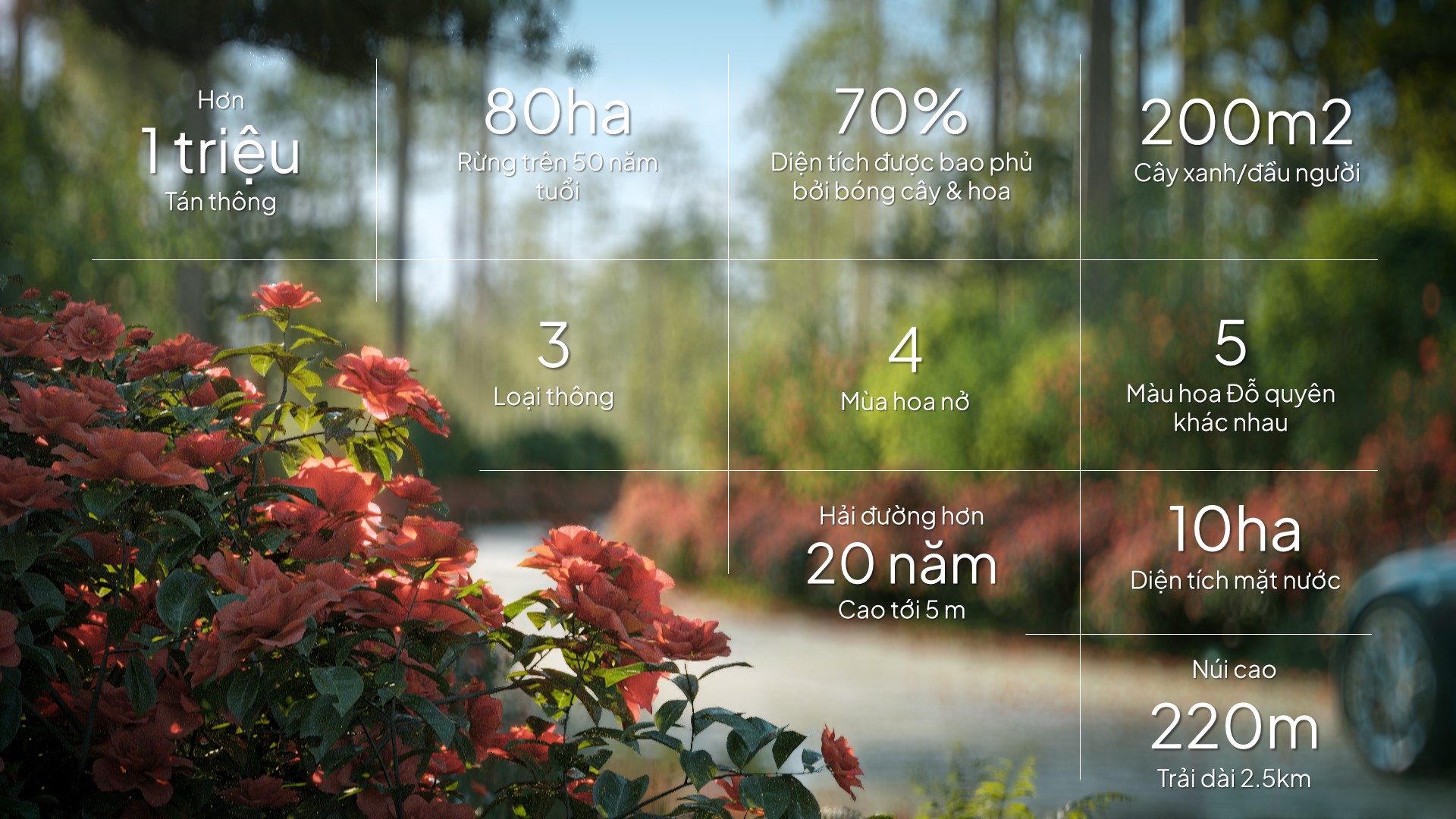 Nói về Thanh Xuân 