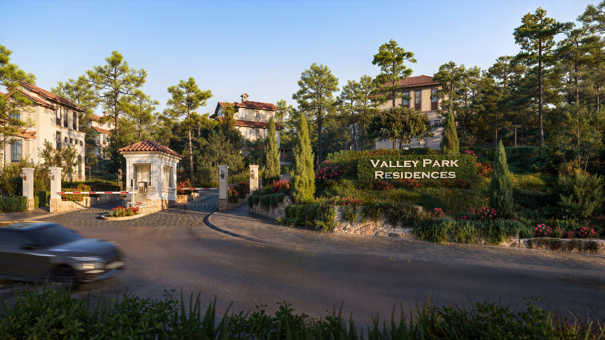 Nói về Thanh Xuân