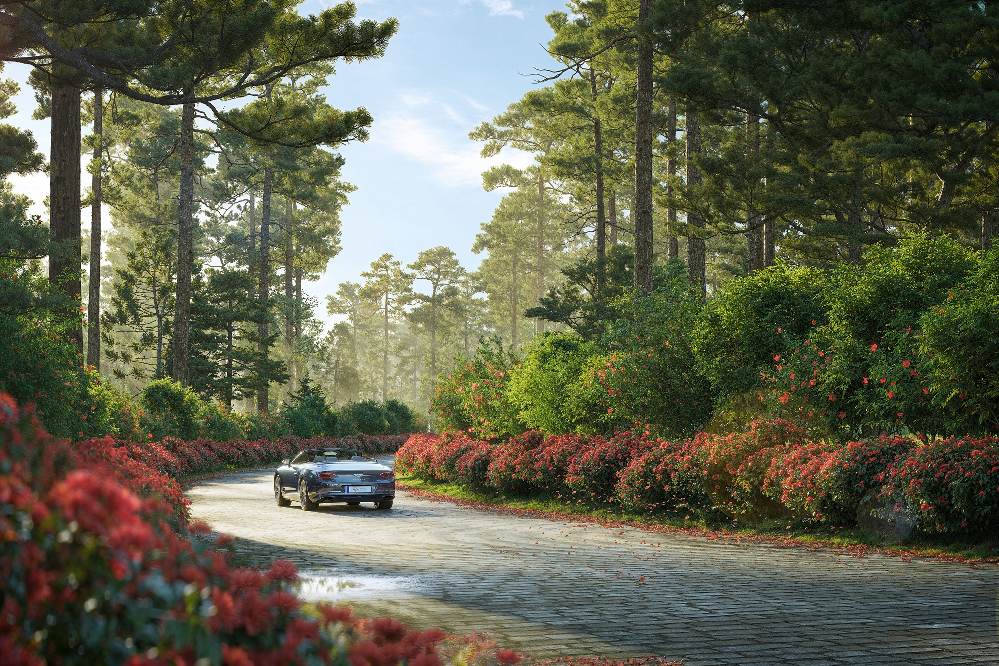 VỀ THUNG LŨNG THANH XUÂN